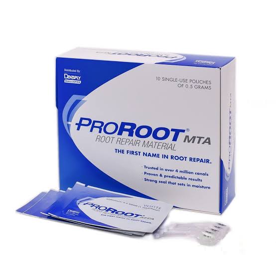 PRO ROOT MTA DENTSPLY